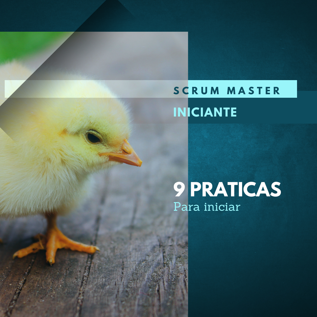 Scrum Master Iniciante